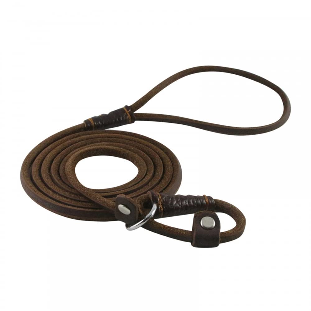 DONGKER Dog Slip Lead,5ft 2-in-1 Leather Pet Training Walking Leash Adjustable Neck Size for Small Medium Lage Dogs