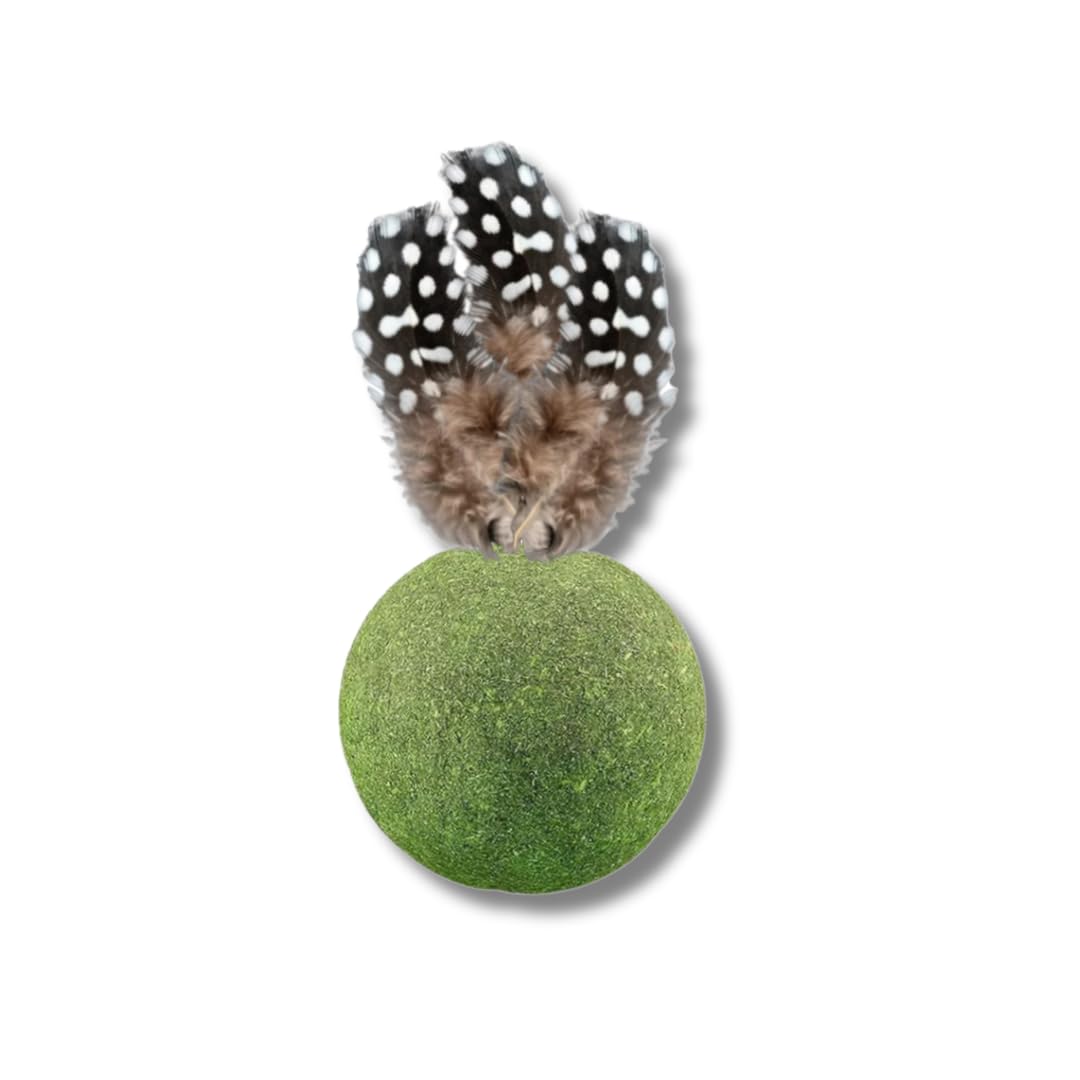 Pet Fun Catnip Mint Ball Toy Combo | Natural Catnip Shuttlecock Treats For Teeth Cleaning, Chewing, And Licking | Fresh Breath &