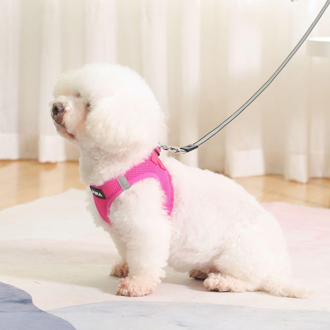 Pina Dog Harness For Small Dogs No Pull, Leash Set, No Choke Breathable Mesh Vest, Lightweight Adjustable For Medium Dogs - Easy