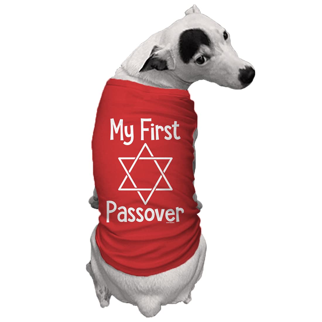 My First Passover - Dog Shirt (Red, 2X-Large)