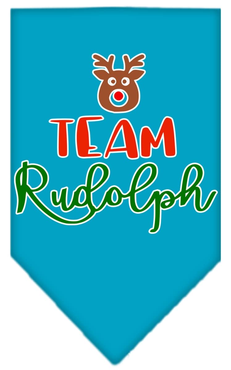 Christmas Pet and Dog Bandana Screen Printed, "Team Rudolph" Turquoise Small