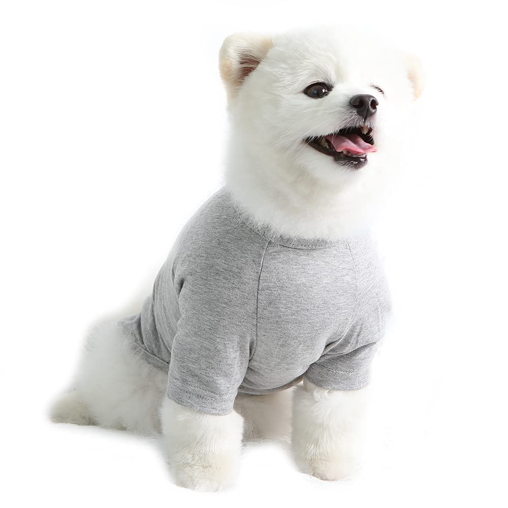 Lucky Petter Dog Shirt For Small Dogs Plain T-Shirts Soft Breathable Dog Cotton Shirt Pet Clothes (Medium, Gray)