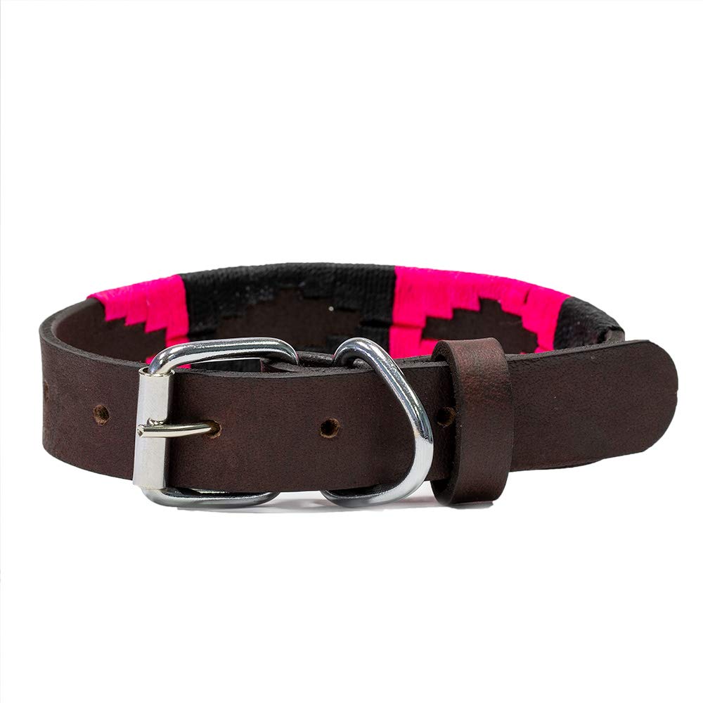 Gaucho Goods Leather Dog Collar - Antilles (Xl)