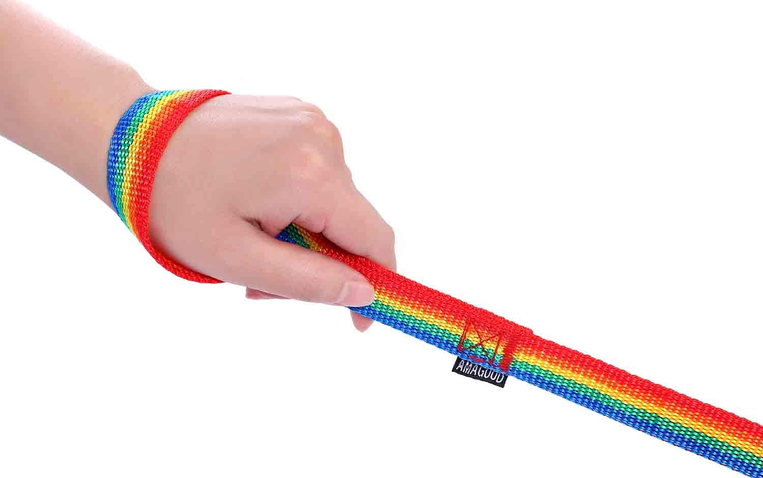 Amagood 6 Ft Puppy/Dog Leash, Strong And Durable Traditional Style Leash With Easy To Use Collar Hook,Dog Lead Great For Small And Medium And Large Dog (3/4 In X 6 Ft(Pack Of 1), Rainbow)