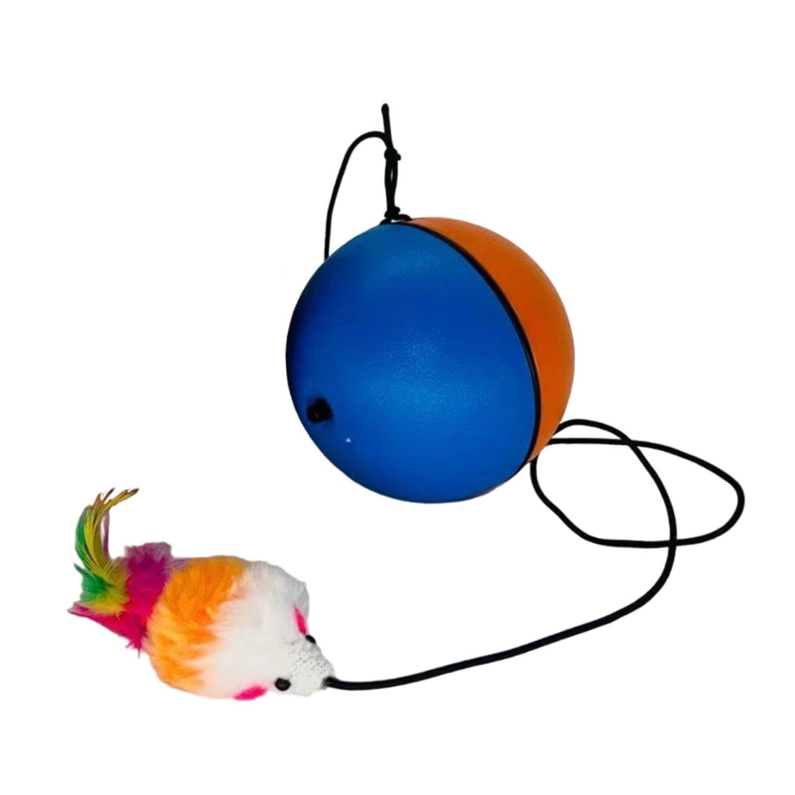Enakshi Automatic Rolling Interactive Ball Toys Avoidance Cat Ball For Training Gift Blue Orange|Pet Supplies | Cat Supplies | T