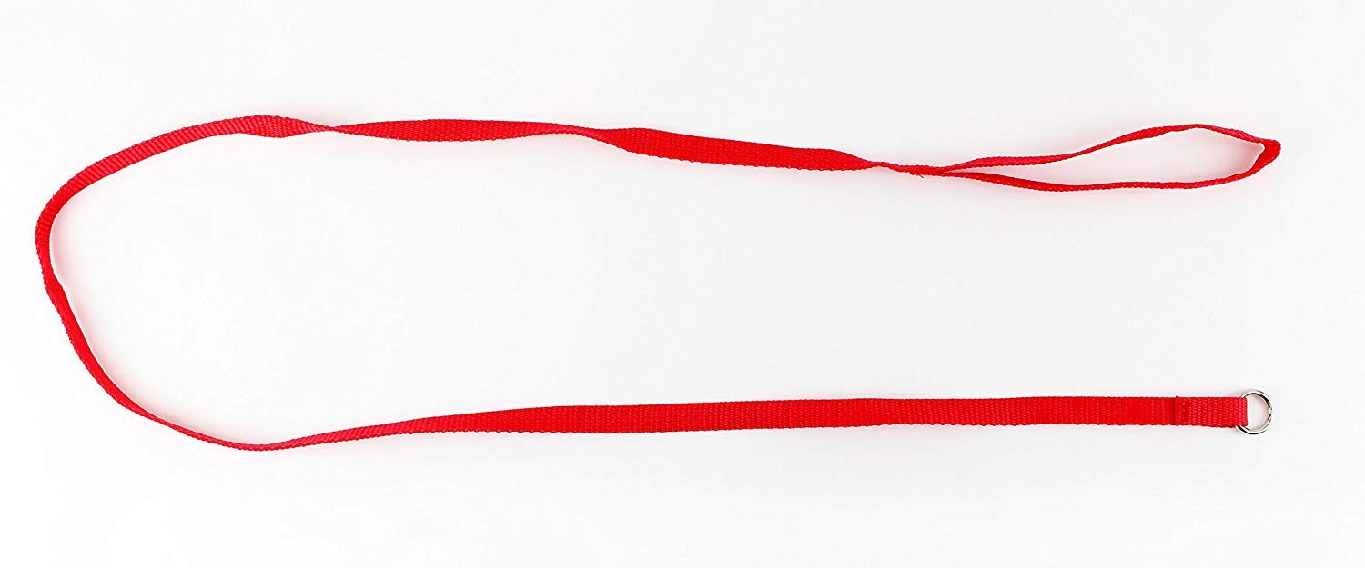 Midlee 4 Foot Dog Kennel Slip Lead Heavy Duty Nylon Pack Of 10 Assorted