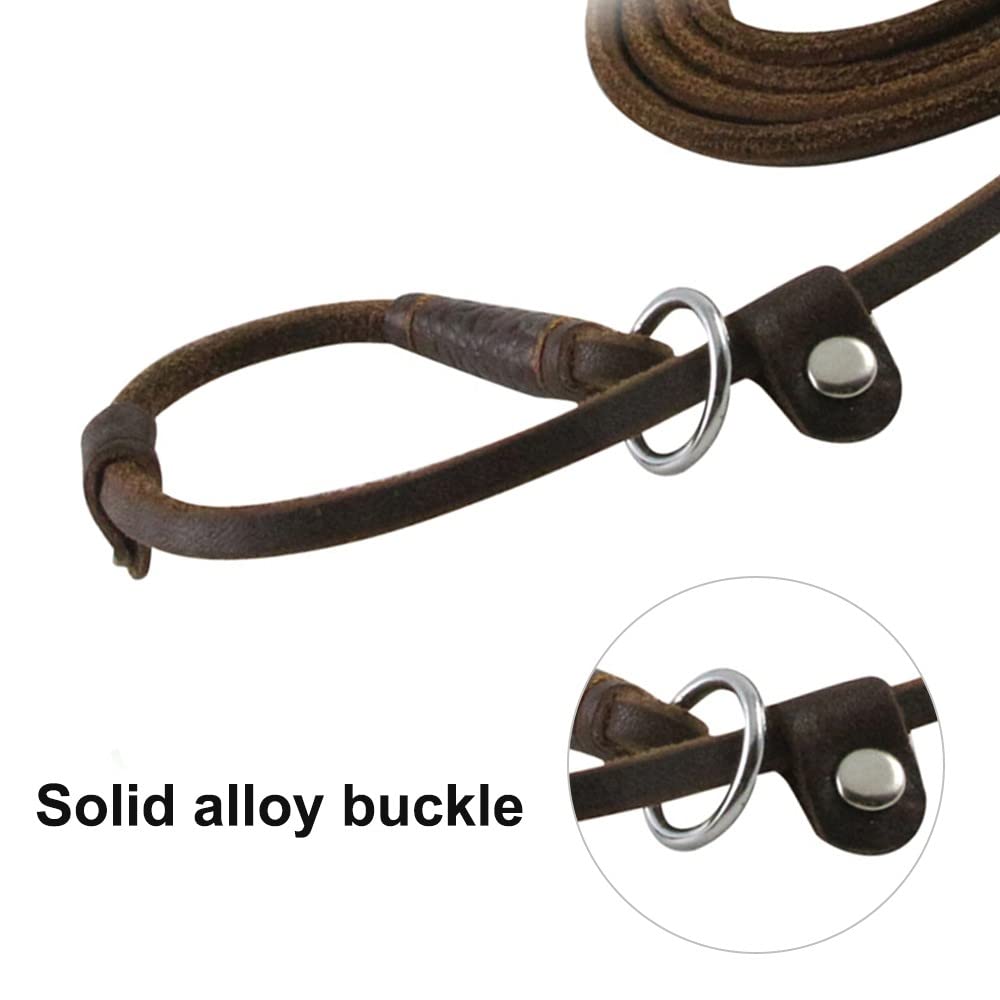 DONGKER Dog Slip Lead,5ft 2-in-1 Leather Pet Training Walking Leash Adjustable Neck Size for Small Medium Lage Dogs