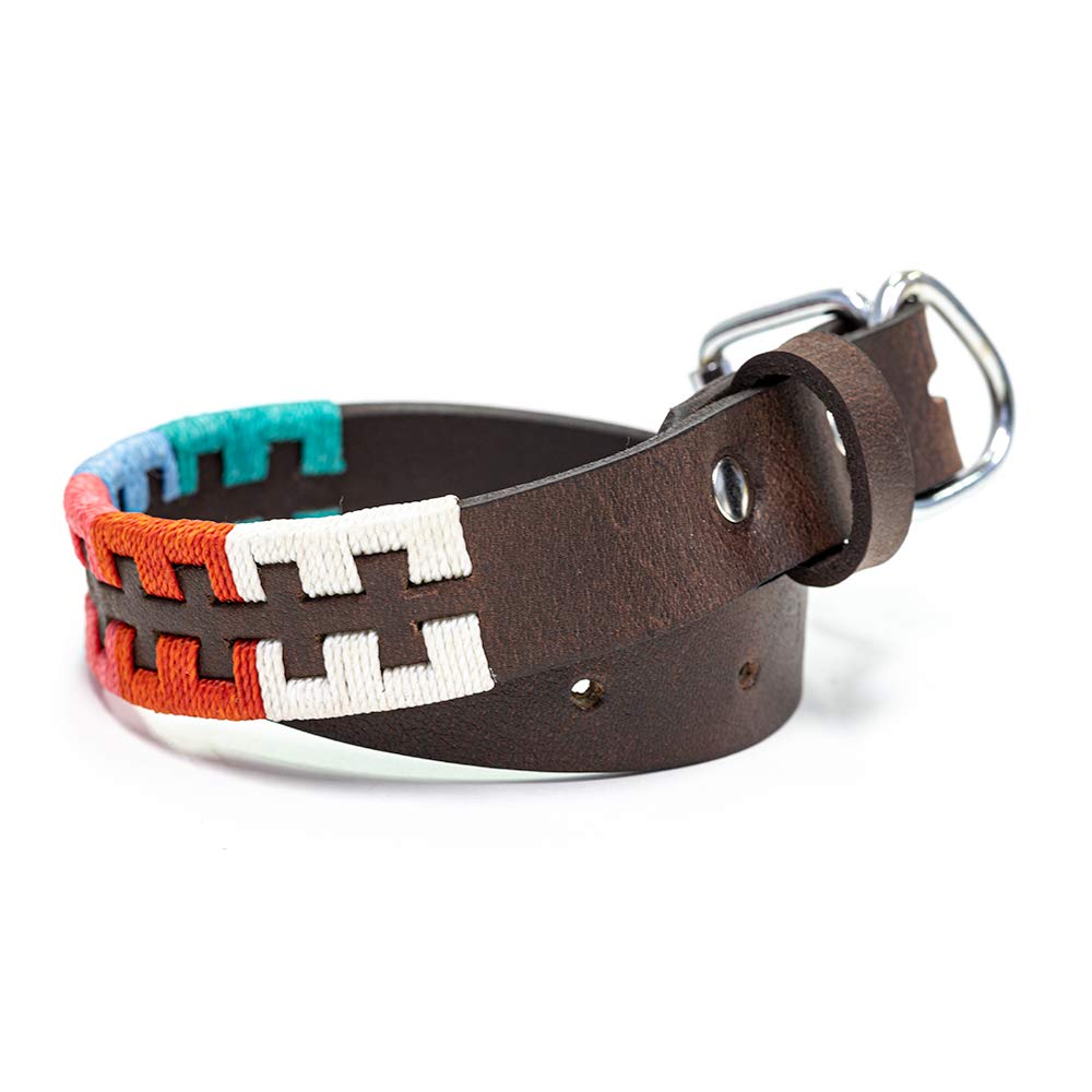 Gaucho Goods Leather Dog Collar - Zephyr (M)