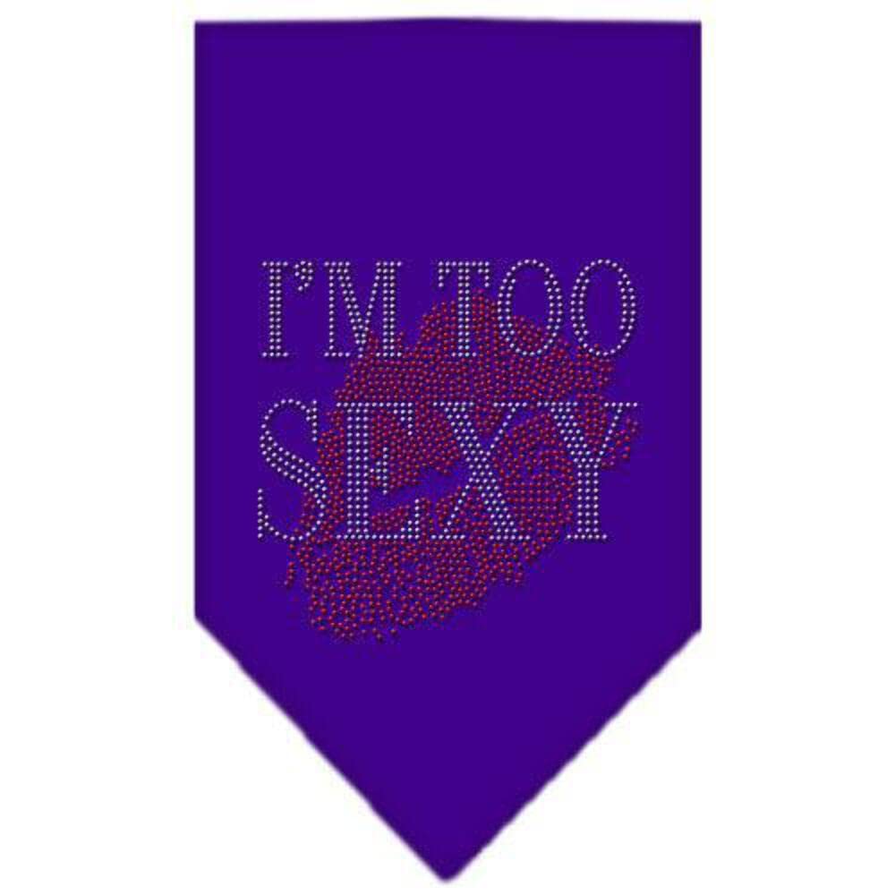 Mirage Pet Products I'm Too Sexy Rhinestone Bandana, Large, Purple