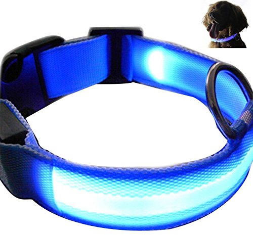Futaba Nylon Pet Glow In Dark Led Collar Night Safety  Blue Extra Large, Dogs, 59 X 2.5 Cm