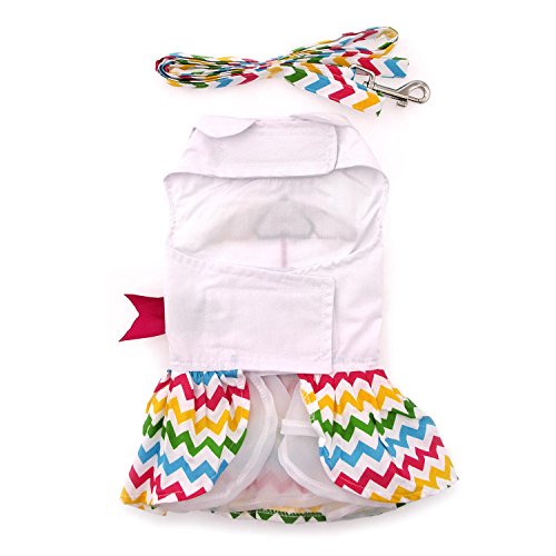 Doggie Design Ice Cream Cart Dress W/Matching Leash (Medium)