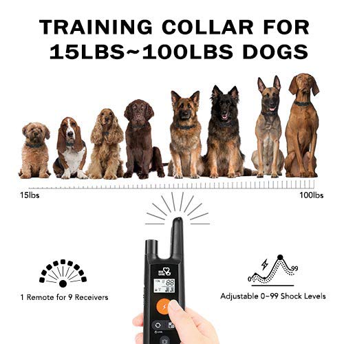 Dog Training Collar - Rechargeable Dog Shock Collar with Beep, Vibration and Shock Training Modes, Rainproof, Long Remote Range,