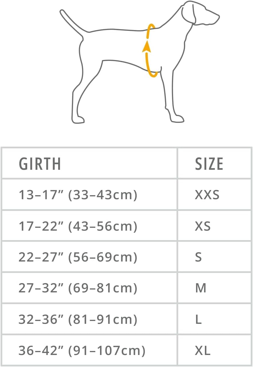 Ruffwear, Vert Dog Winter Jacket, Waterproof & Insulated Coat for Cold Weather, Blue Pool, Medium