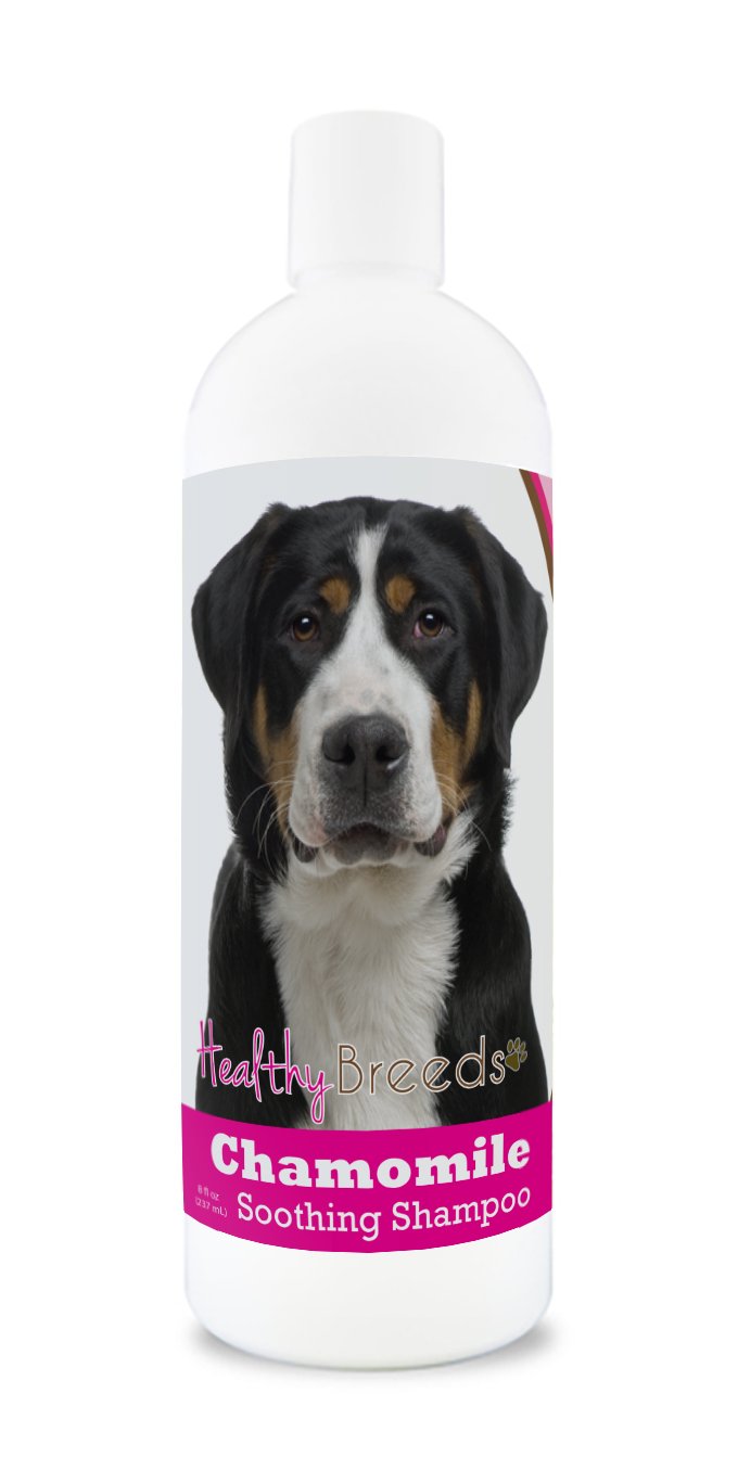 Healthy Breeds Greater Swiss Mountain Dog Chamomile Soothing Dog Shampoo 8 oz