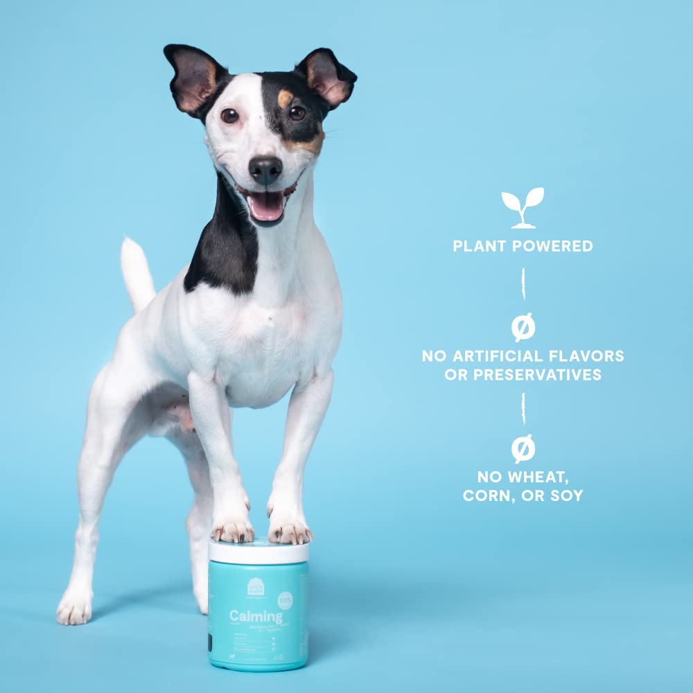 Open Farm Calming Chews for Dogs, 90 Count, Promote Calmness, Teal, Vet-Approved Ingredients, 12.7 oz, Model VA-LSXR-A51S