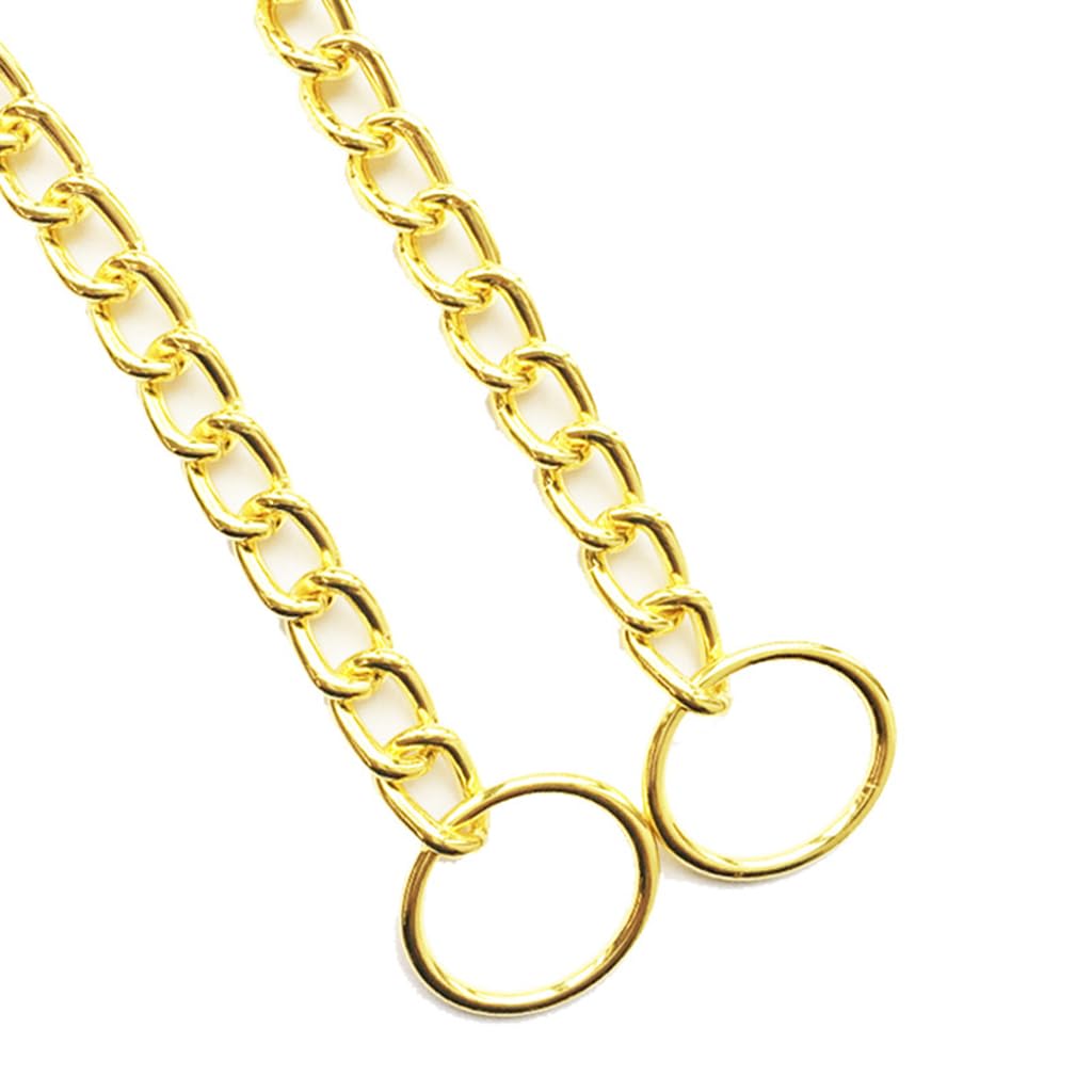 Chain Dog Collars For Medium Dogs, Golden M Metal Slip Link Training Heavy Duty Dog Collar Martingale Puppy Collars For Xxs Xs S