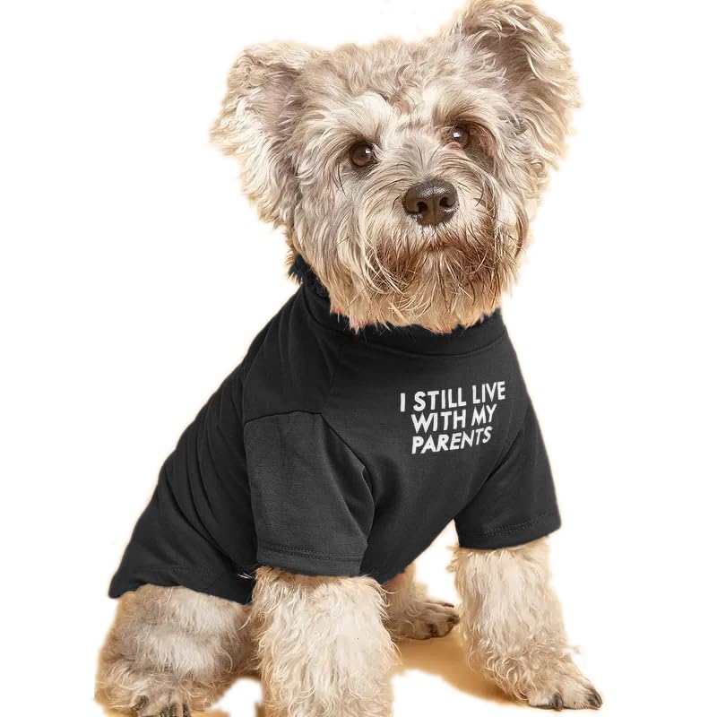 Cute Dog Clothes For Small Dogs Girl, Boy, Puppy. Dog T Shirt For Medium Dog. Breathable Soft Dogs Costume Pet Cats,Pet Pullover