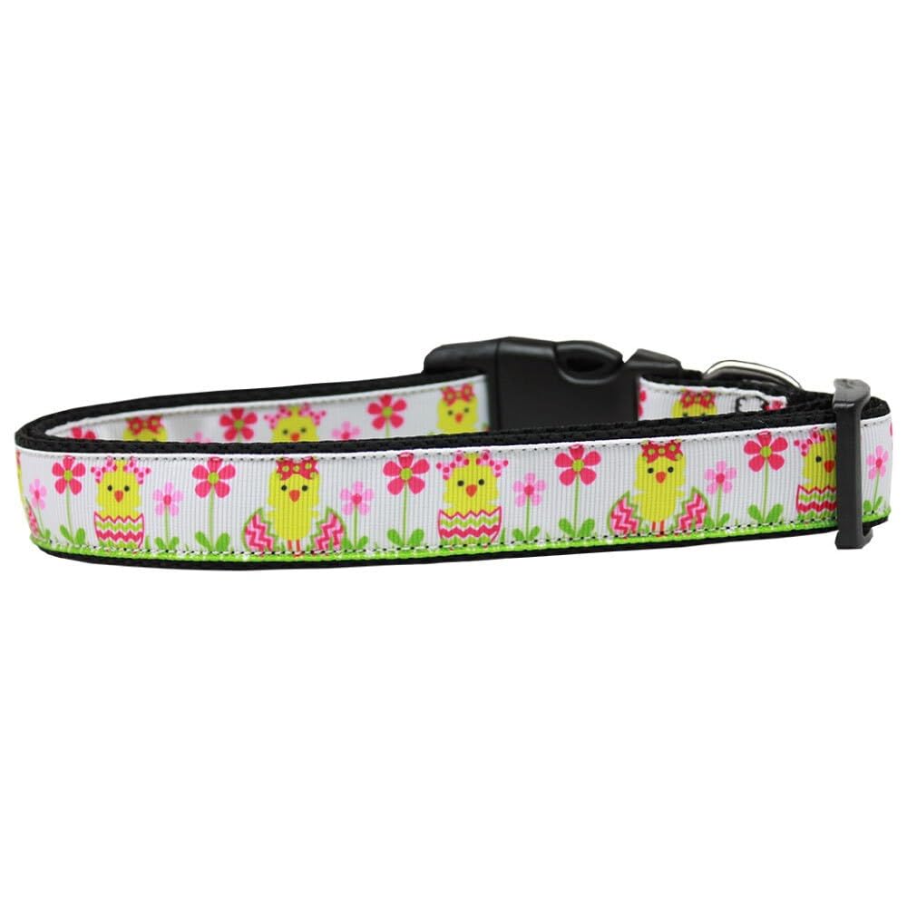Pet Dog & Cat Nylon Collar or Leash, "Spring Chicken" XL Collar