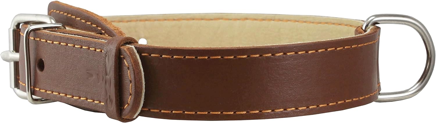 Genuine Thick Leather Collar for Medium Dogs 15-20 Neck Size, 1 Wide, Brown