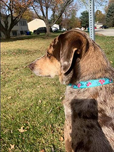 Yudote Floral Dog Collars Adjustable Nylon Collar With Quick Release Buckle For Female & Male Dogs, Green,Large