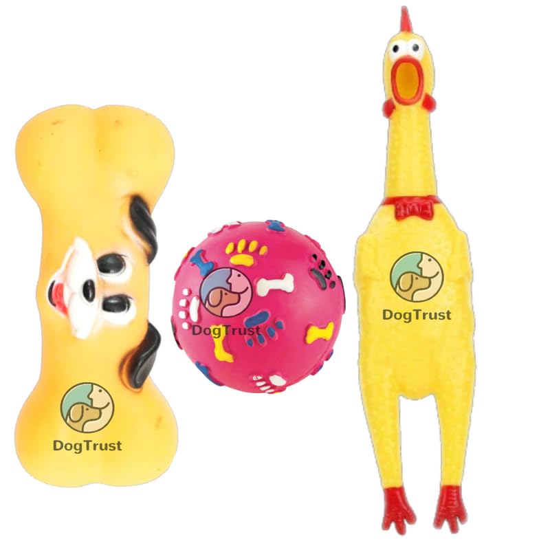 Dog Trust Dog Toy Set With Dog Chew Toys, Rope Toys For Dogs, Plush Toys For Dogs And Puppy Teething Toys  Supports NonProfit 