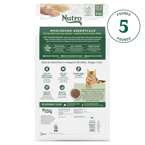 Nutro Wholesome Essentials Natural Dry Cat Food Kitten Formula Chicken & Brown Rice, 5 lb. Bag