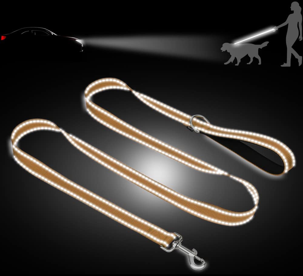Taglory Nylon Dog Leash 6Ft, Soft Padded Handle Pet Reflective Leashes For Puppy Small Medium Dogs Walking & Training,Tan
