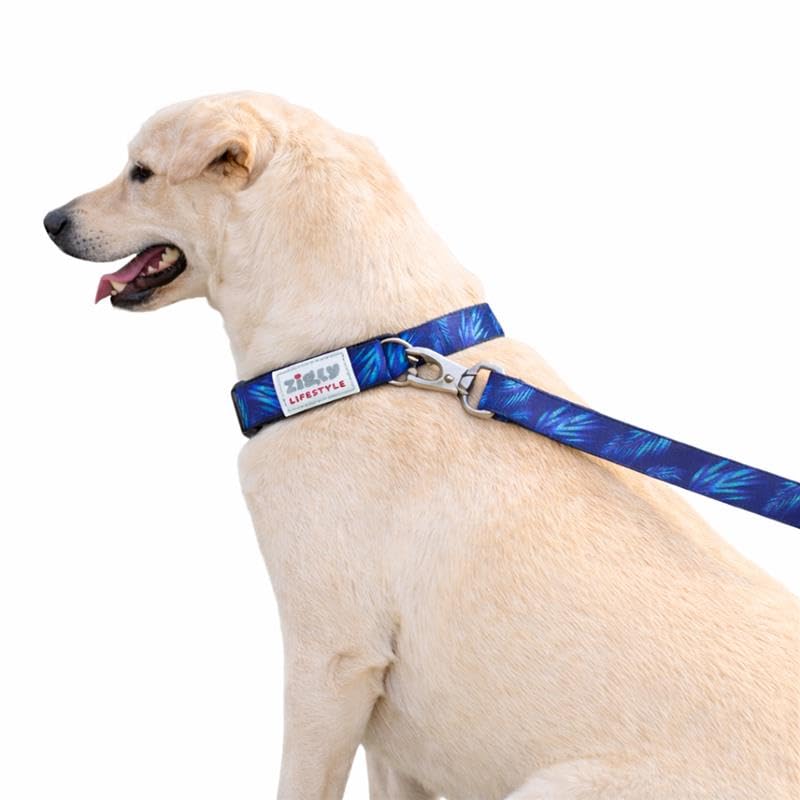 Zigly Tropical Drift Adjustable Dog Collar For Small Dogs | Durable Polyester Pet Collar With Secure Metal DRing | Comfortable 