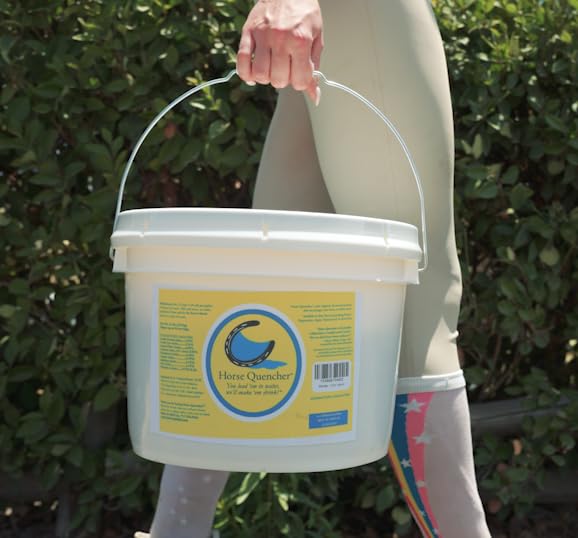 Horse Quenchers Root Beer Flavored Horse Hydration Supplement, Thirst Quencher for Horses, 13 lbs Pail, All-Natural Grains for E
