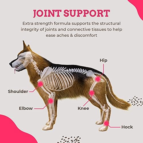 Paws & Pals Glucosamine Chondroitin MSM Soft Chews for Dogs, 240 Count - Maximum Strength Hip & Joint Supplement, Brown