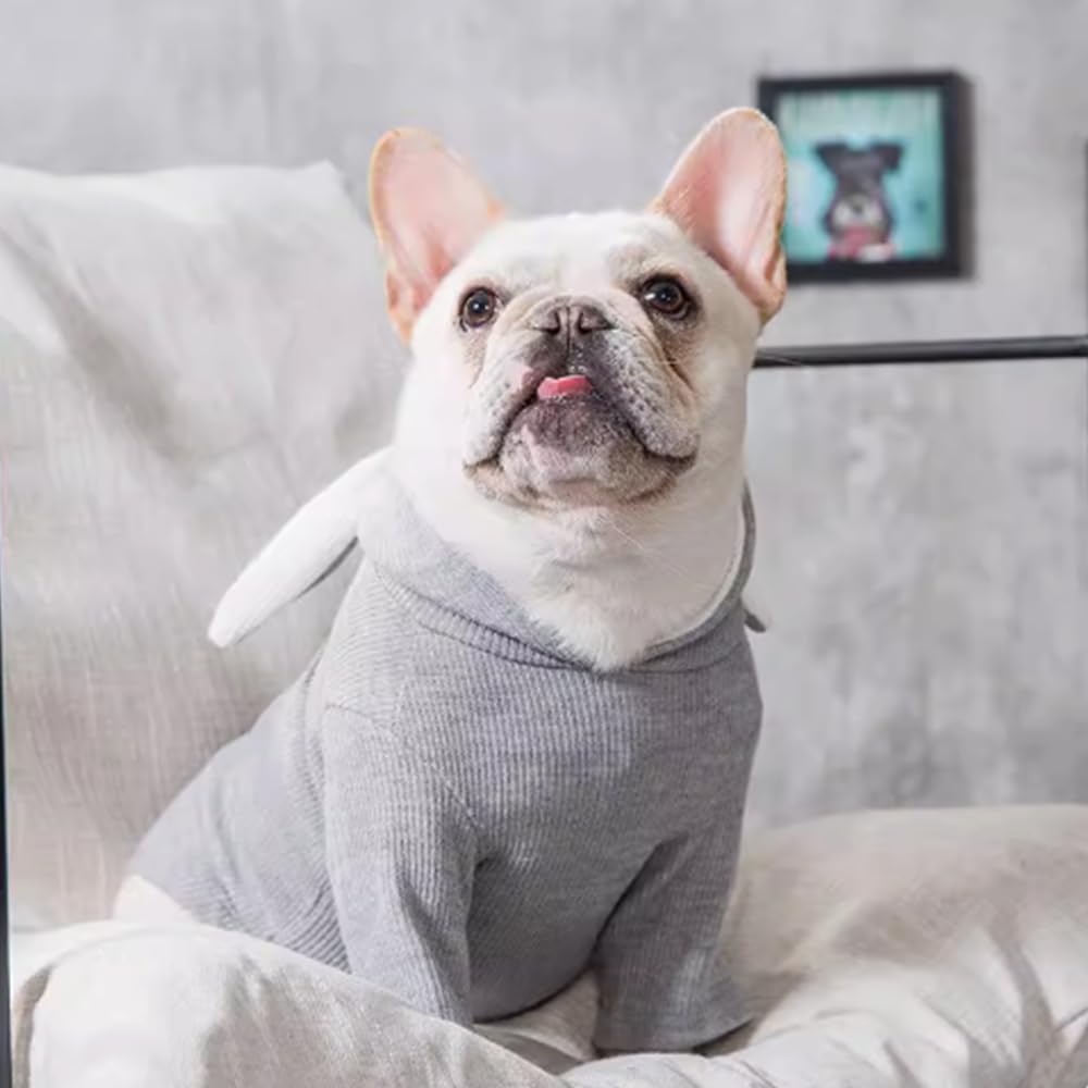 Aniac Pet Hoodie Cat Rabbit Outfit With Bunny Ears Cute Sweatshirt Spring And Autumn Puppy Knitted Sweater Kitty Soft Knitwear (Small, Grey)