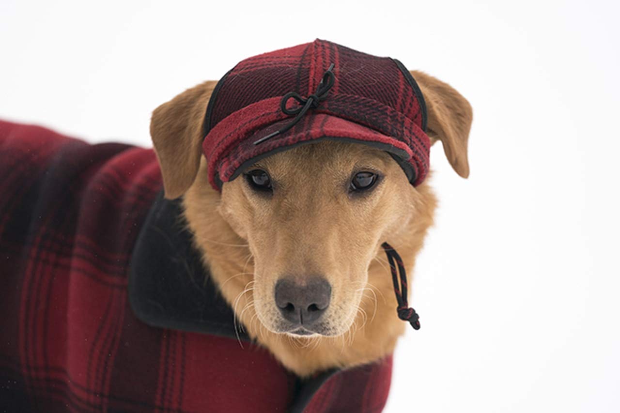 Stormy Kromer Critter Kromer For Her, Black/Gray Plaid, Large