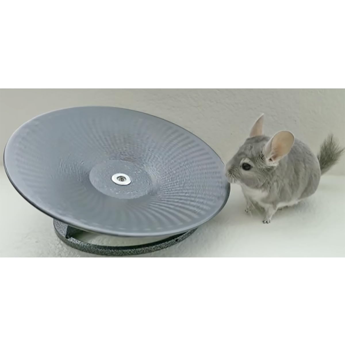 Exotic Nutrition Treadmill Wheel - 14" Metal Exercise Wheel for Small Animals, Black, Model 48584 - Smooth, Fast, Silent, Durable