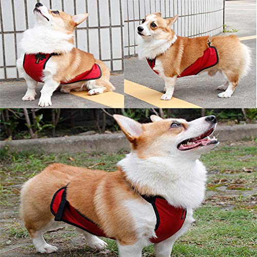 Kelendle Warm Pet Belly Vest - Dog Belly Cover Protector Harness - Waterproof Pet Costume for Short Leg Female Dogs & Puppies