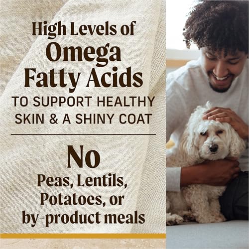 Merrick Healthy Grains Premium Adult Dry Dog Food, Wholesome And Natural Kibble With Chicken And Brown Rice - 12.0 lb. Bag