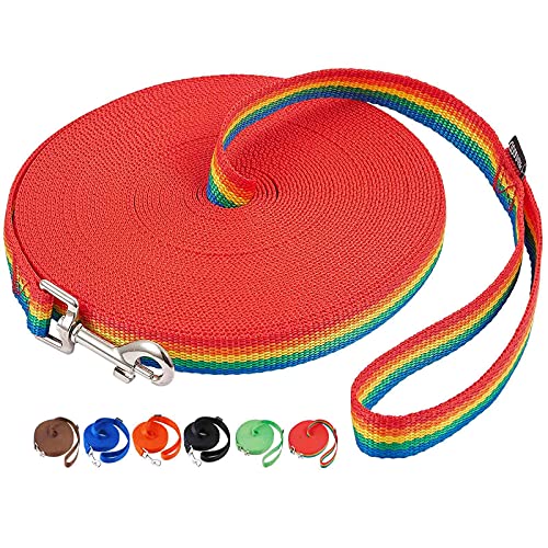 Amagood Dog/Puppy Obedience Recall Training Agility Lead-15 Ft 20 Ft 30 Ft 50 Ft Long Leash-For Dog Training,Recall,Play,Safety,Camping (30Feet, Rainbow)