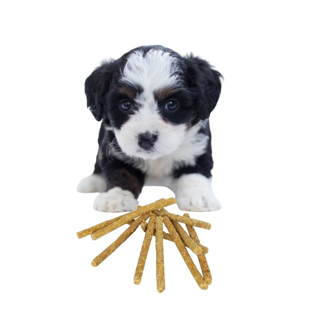 Polka Combo Of 10 Chicken Wood Dog Toy  Natural Wooden Chew Toy For Dogs  Safe, Durable & NonToxic  Fun ChickenShaped Toy F
