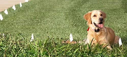 High Grade Dog Fence Wire - 2500 Feet Of 16 Gauge High Tensile Electric Dog Fence Boundary Wire. Compatible With All Brands Of P