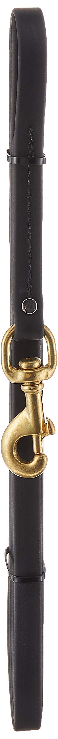Ray Allen Mfg Signature K9 Biothane Long Line, 15-Feet X 5/8-Inch, Black