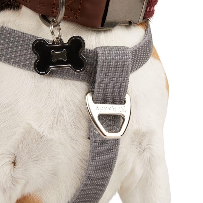 Reddy Grey Reflective Dog Harness X-Large/Xx-Large