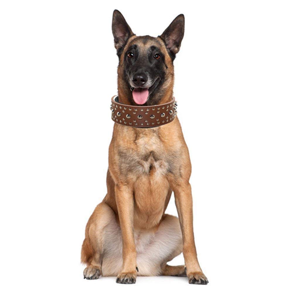 Haoyueer 2' Wide Leather Studded Dog Collar Chain Leash Combo Set Pet Supply For Medium Large Pitbull Husky Mastiff Terrier(Gold Brown,L)