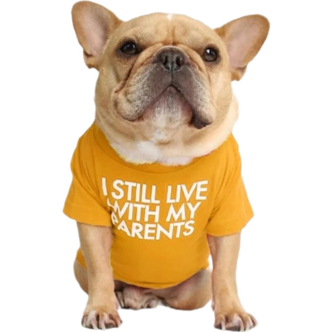 Kutkut Pet Dog Breathable Stretchy Round Neck TShirt I Still Live With My Parents Small Dogs Cats Summer Vest TShirts Soft Cot