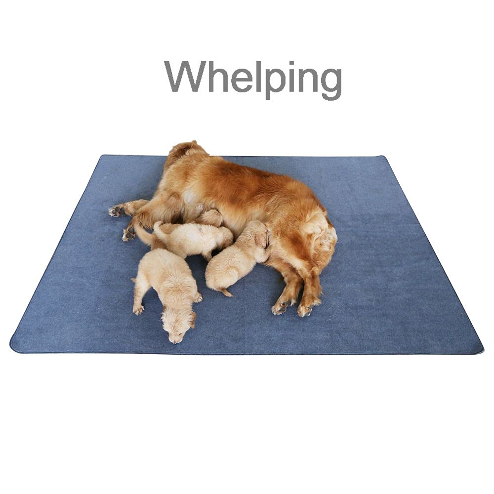 Peepeego Non-Slip Extra Large Dog Pads 72"x72", Washable Polar Fleece, Gray, Reusable & Waterproof for Training & Housebreaking