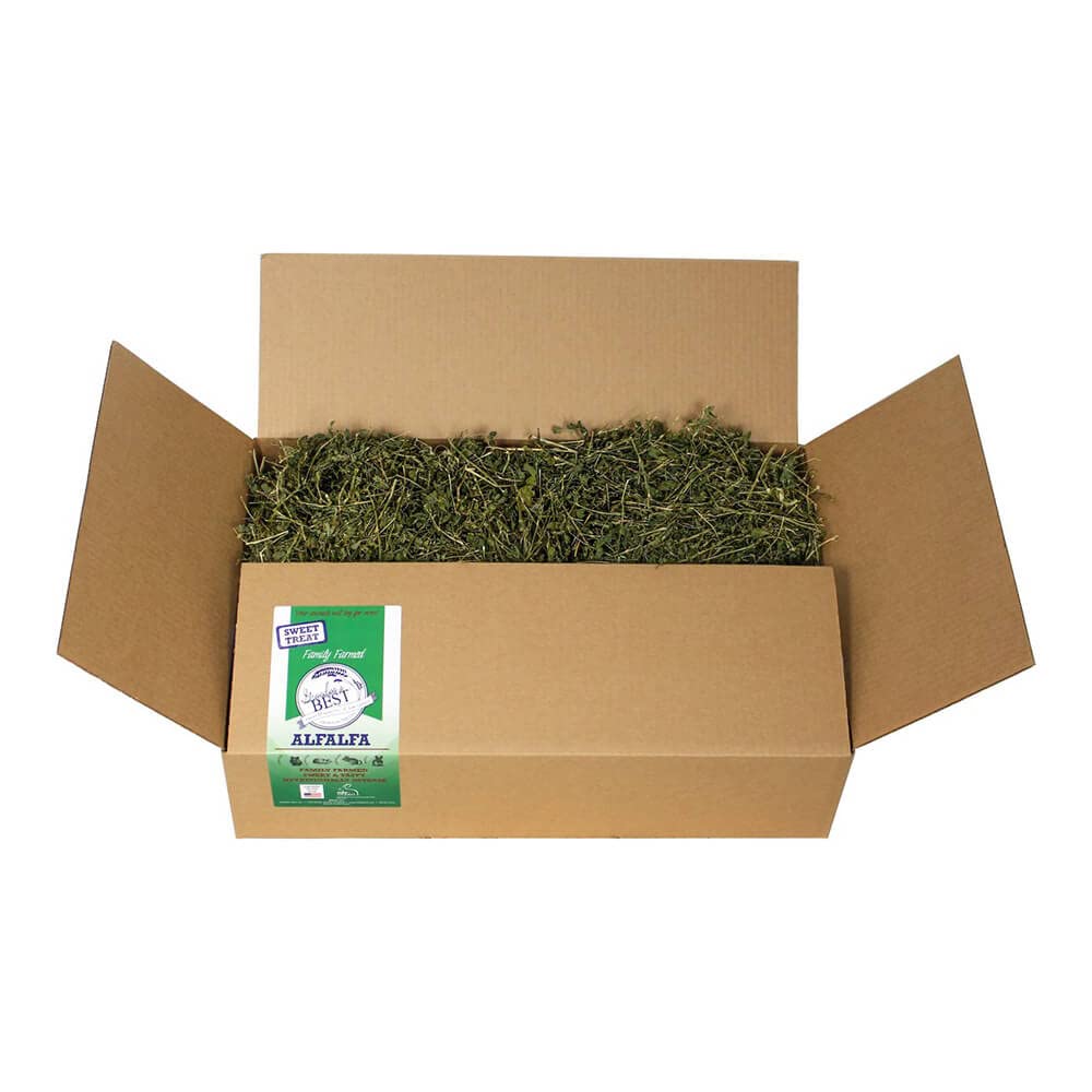 Grandpas Best Alfalfa Hay for Rabbits, Guinea Pigs, Chinchillas, Hamsters & Gerbils, 10lb Loose Boxed