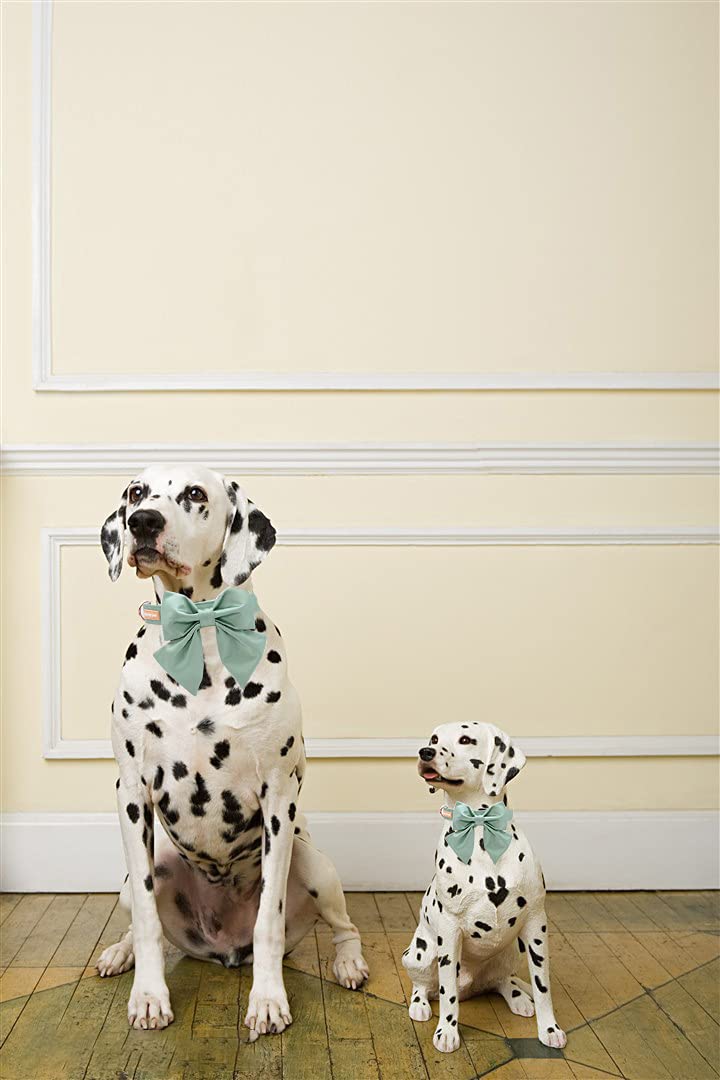 Unique Style Paws Silk Green Color Dog Collar Adjustable Durable Dog Collar With Bow Wedding Bowtie Collar For Large Dogs