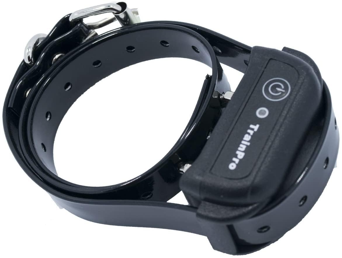 Trainpro Replacement     Dog Collar Strap Bands With Double Buckle Loop Training For All Brands Of Pet Shock Bark E Collars And