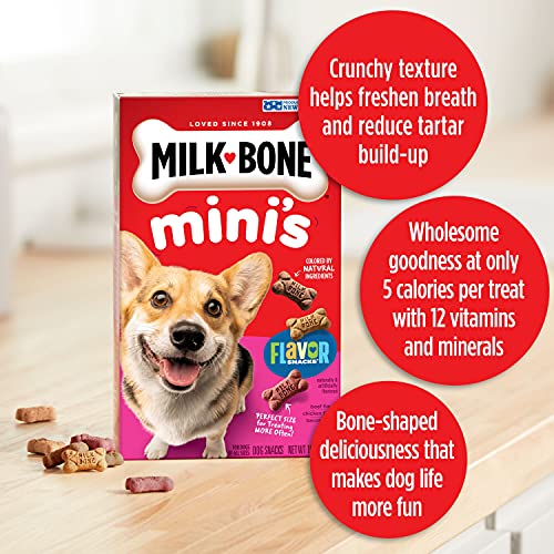 Milk-Bone Minis Flavor Snacks Dog Treats, 36 Ounce Crunchy Texture Helps Reduce Tartar