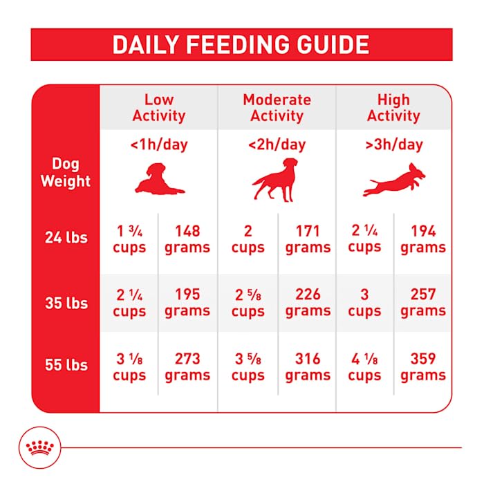 Royal Canin Size Health Nutrition Medium Adult 7+- Dry Dog Food, 30lb Bag