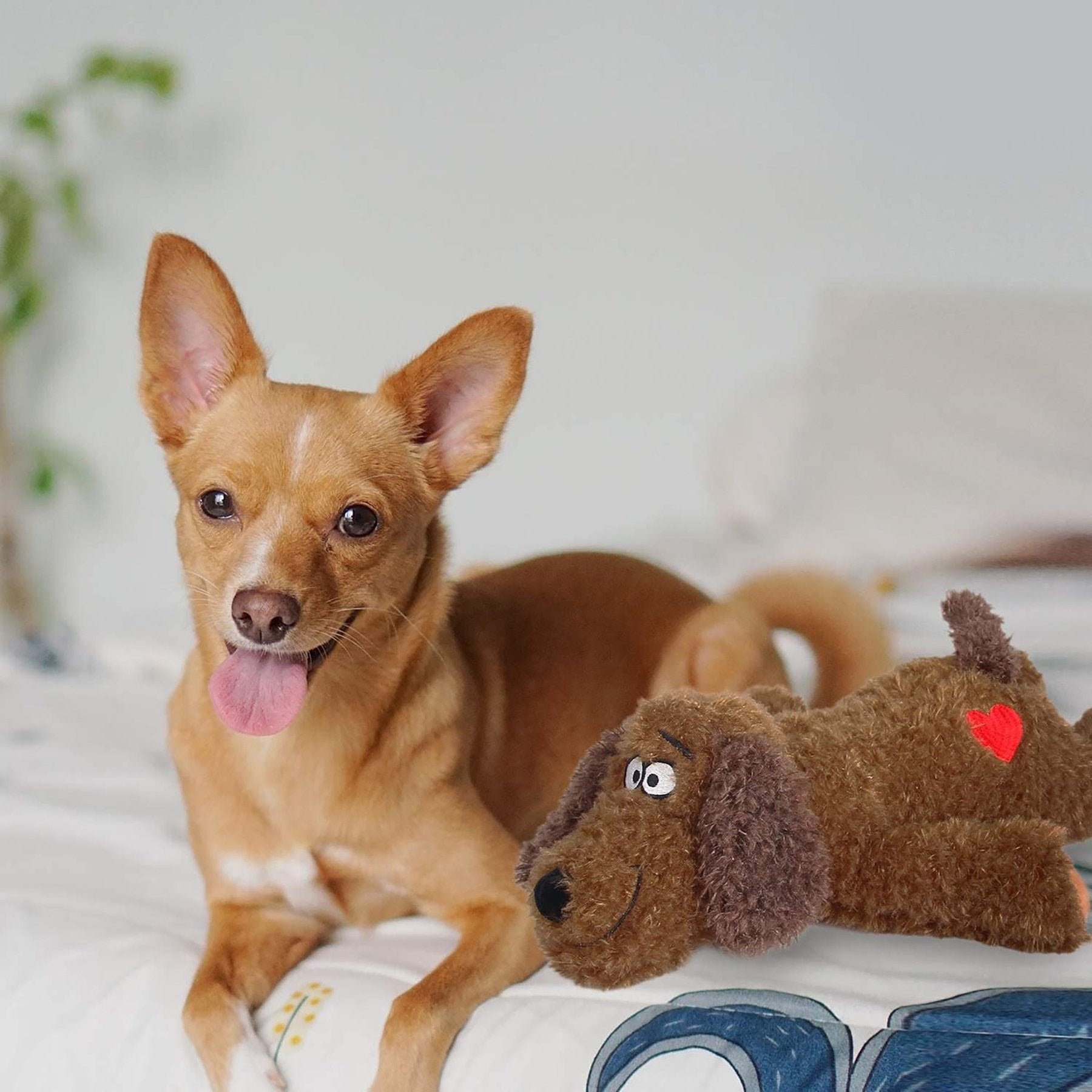 Calming Pals-Dog Toy Anti Anxiety Plush Buddy