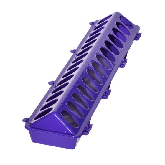 Little Giant 20 Plastic Flip-Top Poultry Ground Feeder, Purple Chickens Birds 2-Pack